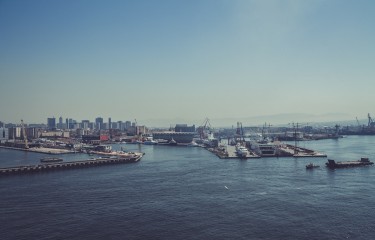 手机号轰炸免费在线网站